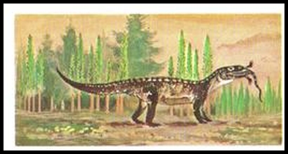 72BBPA 9 Mandasuchus.jpg